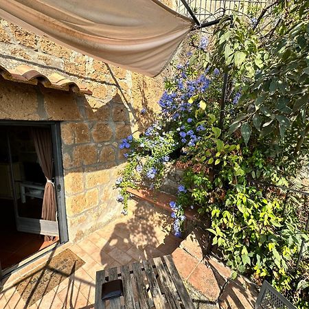 Terrazza Sul Tufo Villa Pitigliano Eksteriør billede