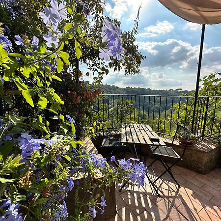 Terrazza Sul Tufo Villa Pitigliano Eksteriør billede