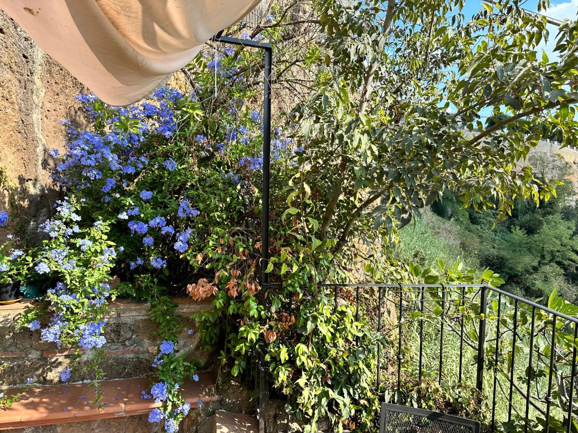 Terrazza Sul Tufo Villa Pitigliano Eksteriør billede